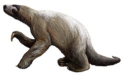 Life restoration of Nothrotheriops texanus