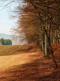 The Rietheim sewage farm