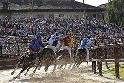 Traditional bareback horse racing in the Palio di Legnano 2013