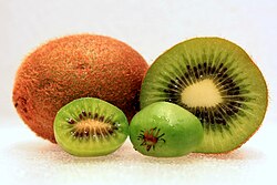 The larger A. chinensis var. deliciosa (fuzzy kiwifruit) at the rear compared to the smaller kiwi berry