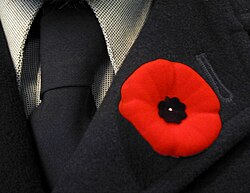 A remembrance poppy distributed by the Royal Canadian Legion worn on a lapel