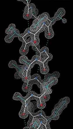 An alpha helix in ultra-high-resolution electron density contours, with O atoms in red, N atoms in blue, and hydrogen bonds as green dotted lines (PDB file 2NRL, 17–32)