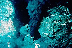 Black smokers were first discovered in 1979 on the East Pacific Rise at 21° north latitude.