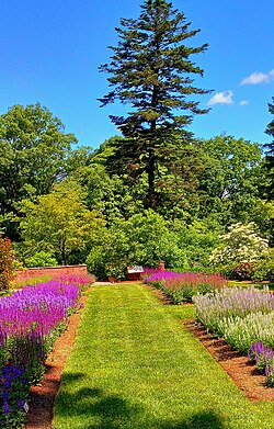 Section of Rosen Seasonal Walk at the New York Botanical Garden
