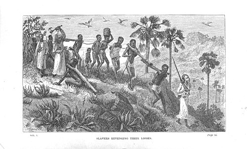 Arab-Swahili slave traders and their captives on the Ruvuma River in East Africa, 19th century