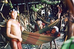 The Yanomami are a group of approximately 32,000 indigenous people who live in the Amazon rainforest[11]