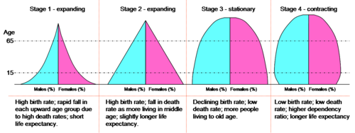 A visualization may approximate these hypothetical population pyramids.