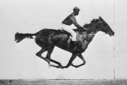 Running gait. Photographs by Eadweard Muybridge, 1887