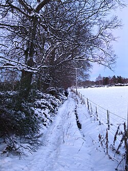 Footpath to Inshes
