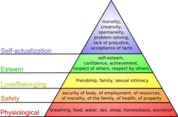 Maslow's hierarchy of human needs. This is an example of a hierarchy visualized with a triangle diagram. The hierarchical aspect represented here is that needs at lower levels of the pyramid are considered more basic and must be fulfilled before higher ones are met.