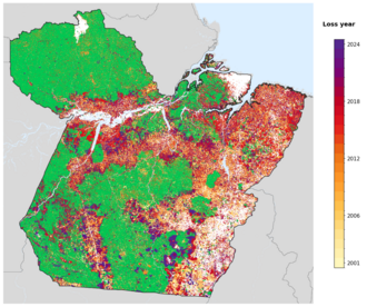 Map of Pará showing tree-cover loss years, with forest remaining since 2000 in green and loss years shaded yellow through purple.