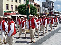 Silesian gorals