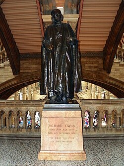 Supplanted statue of Owen in the Natural History Museum, London.