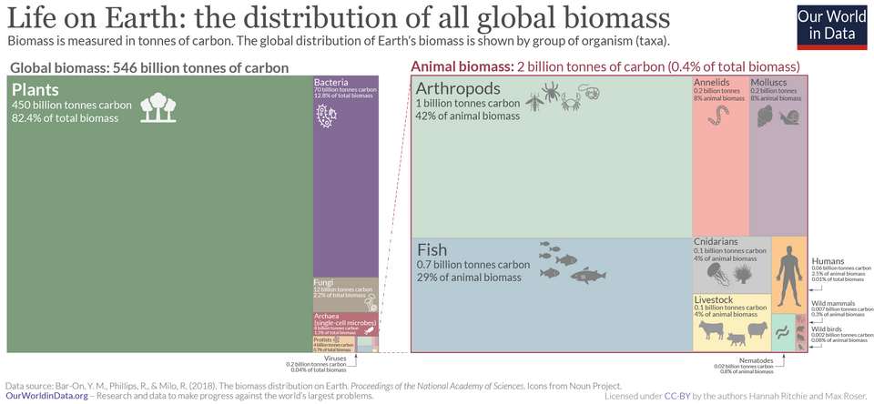 The global biomass broken down by kingdom and into taxonomic groups for animals.[1] The estimates for bacteria and archaea have been updated to 30 billion tonnes C combined since this figure was made.[20]