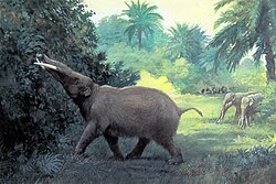 Historic 1901 illustration of Gomphotherium angustidens feeding. By Charles R. Knight.