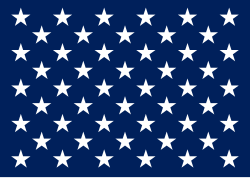 U.S. naval jack