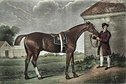 Eclipse, an undefeated British racehorse and outstanding sire.