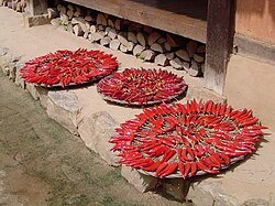 Drying chili peppers for kimchi. These peppers are then made into gochugaru, or chili pepper powder. This powder is added to the rice flour paste to make a seasoning paste for spicy kimchi.
