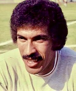Hassan Shehata