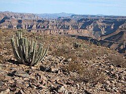 Fish River Canyon