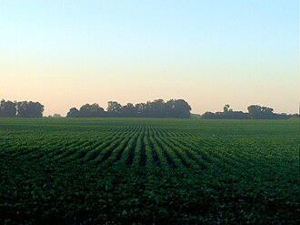 Fields in Argentina