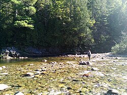 A man fishing for Atlantic salmon in the Pabos River of Quebec as recreation.