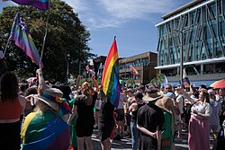 Crowd of people in bright colors waving rainbow and trans pride flags
