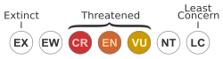 The three categories of the threatened species on IUCN Red List.