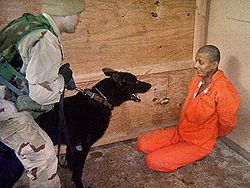 An Iraqi prisoner is intimidated by an American soldier via his service dog at Abu Ghraib prison during the 2003 invasion of Iraq