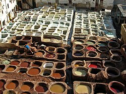 Ancient leather tanning in Fez, Morocco