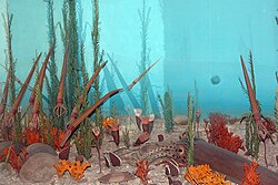 A diorama depicting Ordovician flora and fauna
