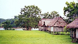 Village along the west bank of Napo River in Peru, a few miles above confluence with the Amazon. The land visible beyond the waterway is an island in the river.