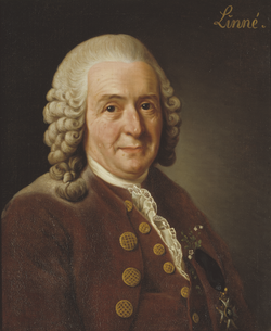 Carl Linnaeus coined the name Homo sapiens.