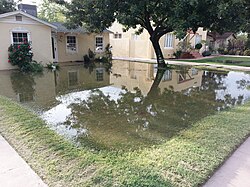 Residential flood irrigation in Phoenix, Arizona, US