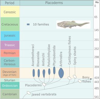 Evolution and extinction of placoderms. The diagram is based on Michael Benton, 2005.[19]