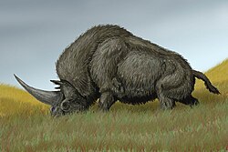 Elasmotherium sibiricum reconstruction