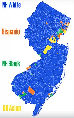 Largest ethnicity by municipality based on 2020 census