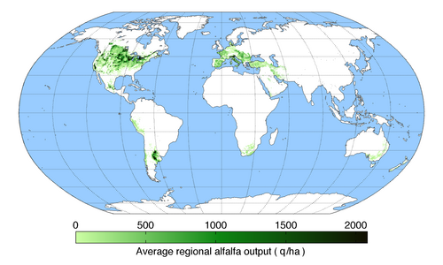 Worldwide alfalfa production