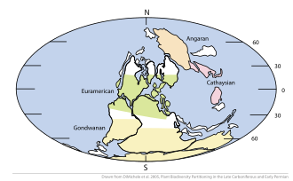 Map of the world at the Carboniferous-Permian boundary, showing the four floristic provinces