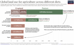 Agricultural land worldwide could be reduced by almost half if no beef or mutton were eaten.
