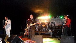 Buzzcocks are considered one of the pioneers of pop-punk.[20]