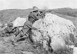 Australian Light Horse snipers