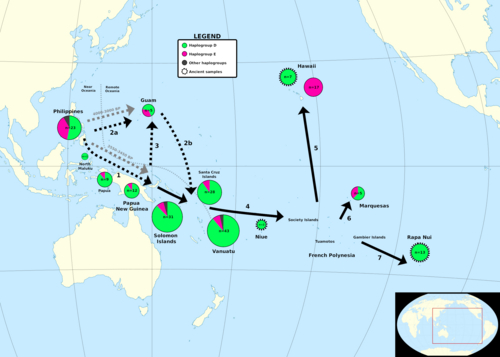 Prehistoric introduction of domesticated chickens into Oceania from the Philippines via Neolithic Austronesian expansion (starting at c. 4000 BP), inferred from genetic markers on ancient and modern chicken DNA (Thomson et al., 2014)[63]