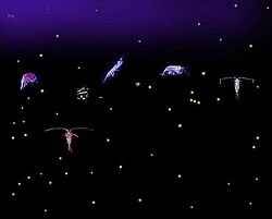 Photomontage of planktonic organisms.