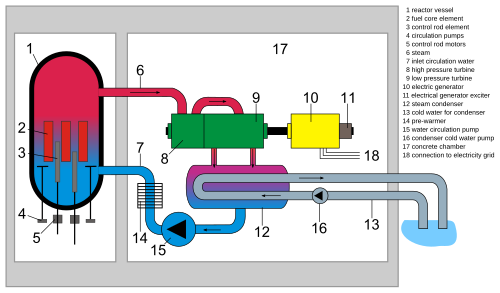 Boiling water reactor (BWR)