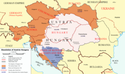 New borders of Austria–Hungary after the Treaty of Trianon and Saint Germain Border of Austria–Hungary in 1914 Borders in 1914 Borders in 1920