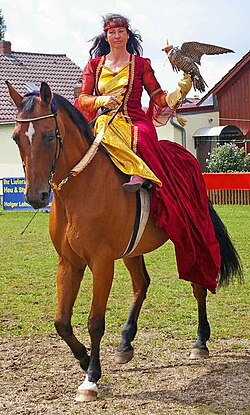 A lady with peregrine falcon on horse