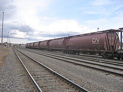 Hoppers in Sainte-Foy, Quebec City, April 2012