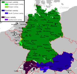 The national and regional standard varieties of German[81]