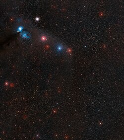 Wide field view of the neutron star RX J1856.5-3754